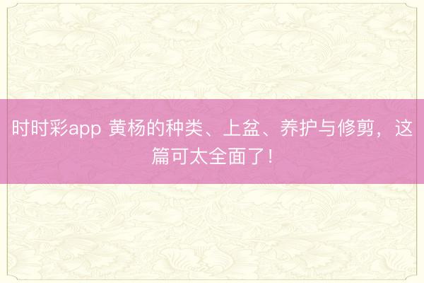 时时彩app 黄杨的种类、上盆、养护与修剪，这篇可太全面了！