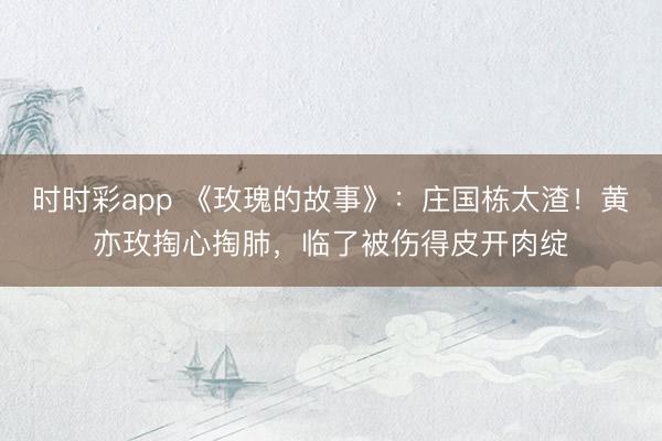 时时彩app 《玫瑰的故事》：庄国栋太渣！黄亦玫掏心掏肺，临了被伤得皮开肉绽