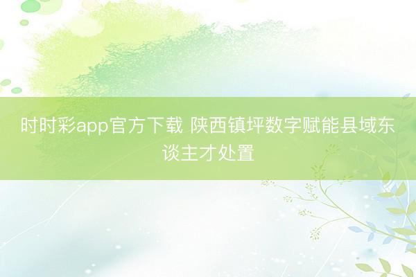 时时彩app官方下载 陕西镇坪数字赋能县域东谈主才处置