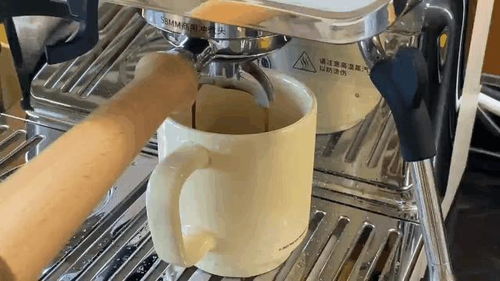 2024年家用咖啡机选购指南,家用咖啡机推荐攻略,含凯度 百胜图 格米莱 苏泊尔 宜盾普 柏翠 火箭rocket等 5月更新